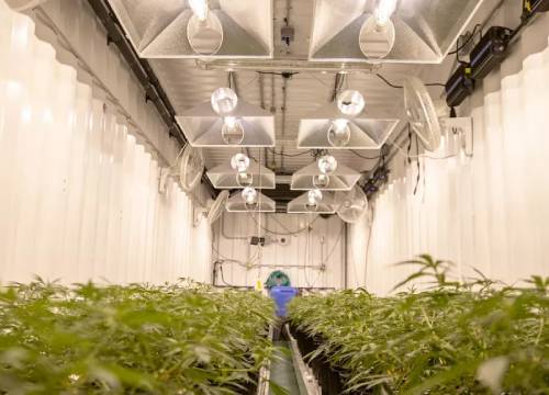 Operational Strengths